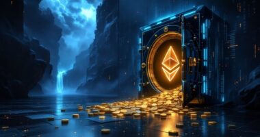 13m defi heist reward