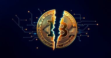 bitcoin cash overview guide