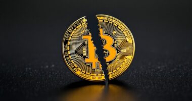 bitcoin supply cut event