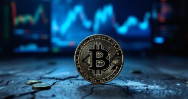 investor fear and liquidity