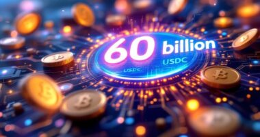 stablecoin market skyrockets growth