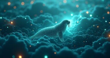 walrus secures 140m funding