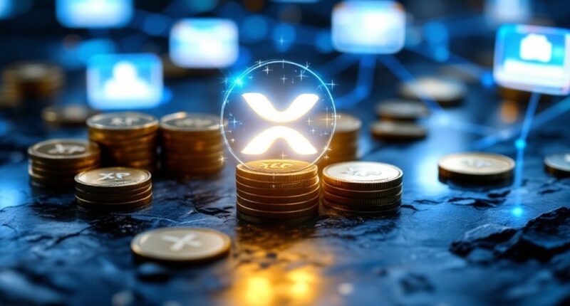 xrp billionaire co founder revealed