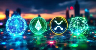 crypto market contenders emerge
