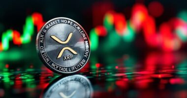 xrp investment volume risks