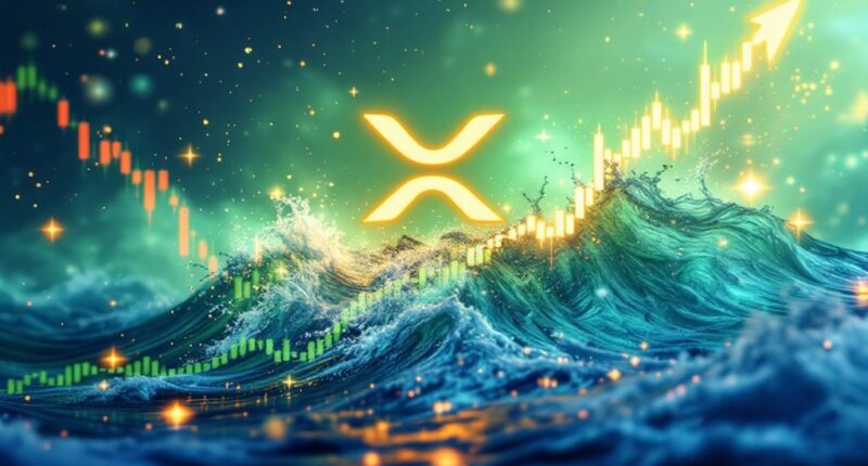 xrp s price surge continues